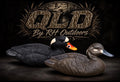 Scoter