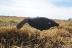 Black Drake Field Feeders – 6 Pack