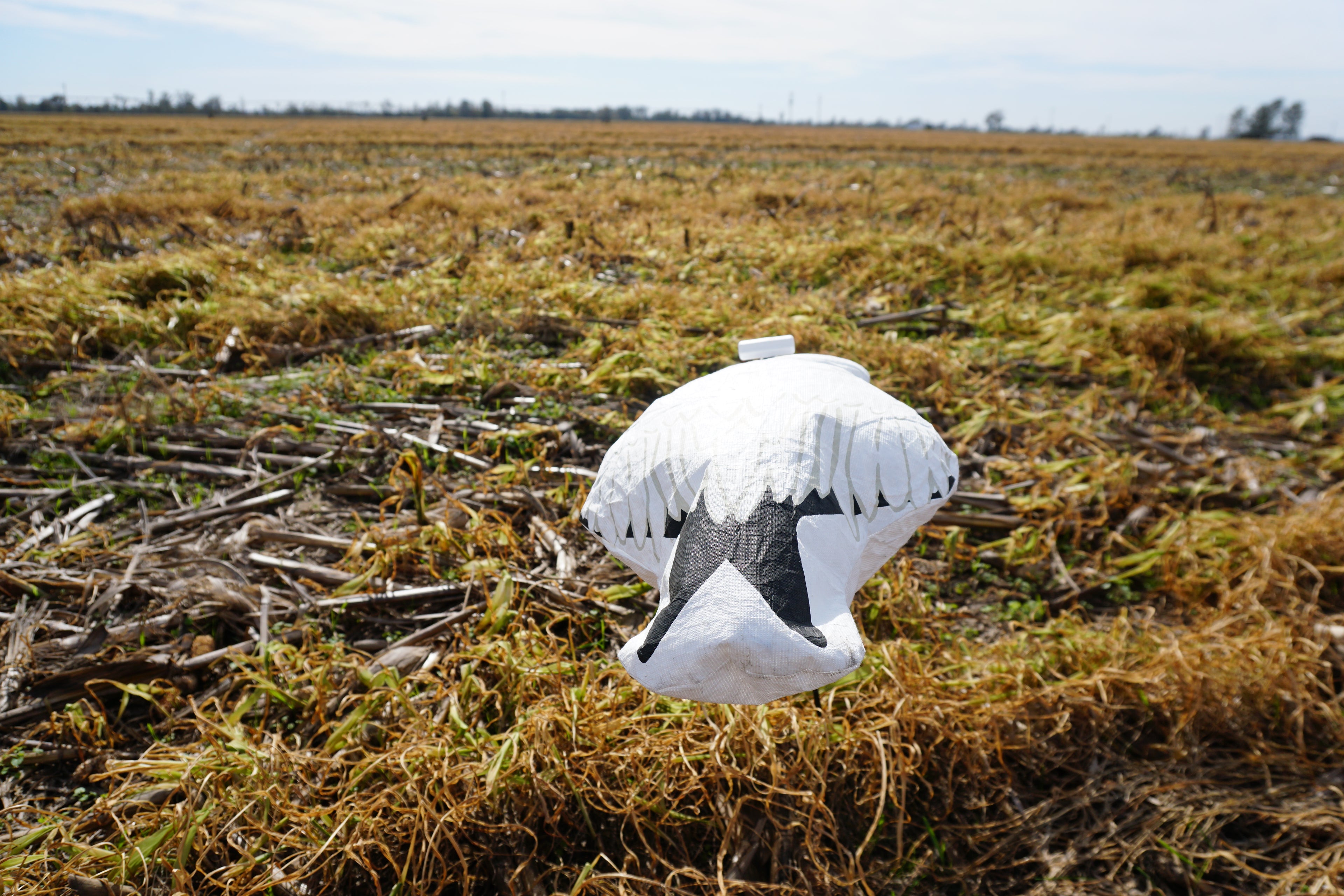 Snow Goose Wind Sock