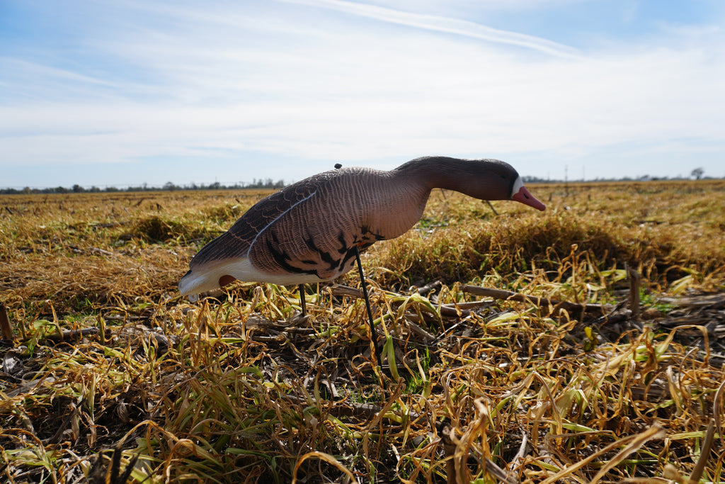 Full Body Speck Decoys