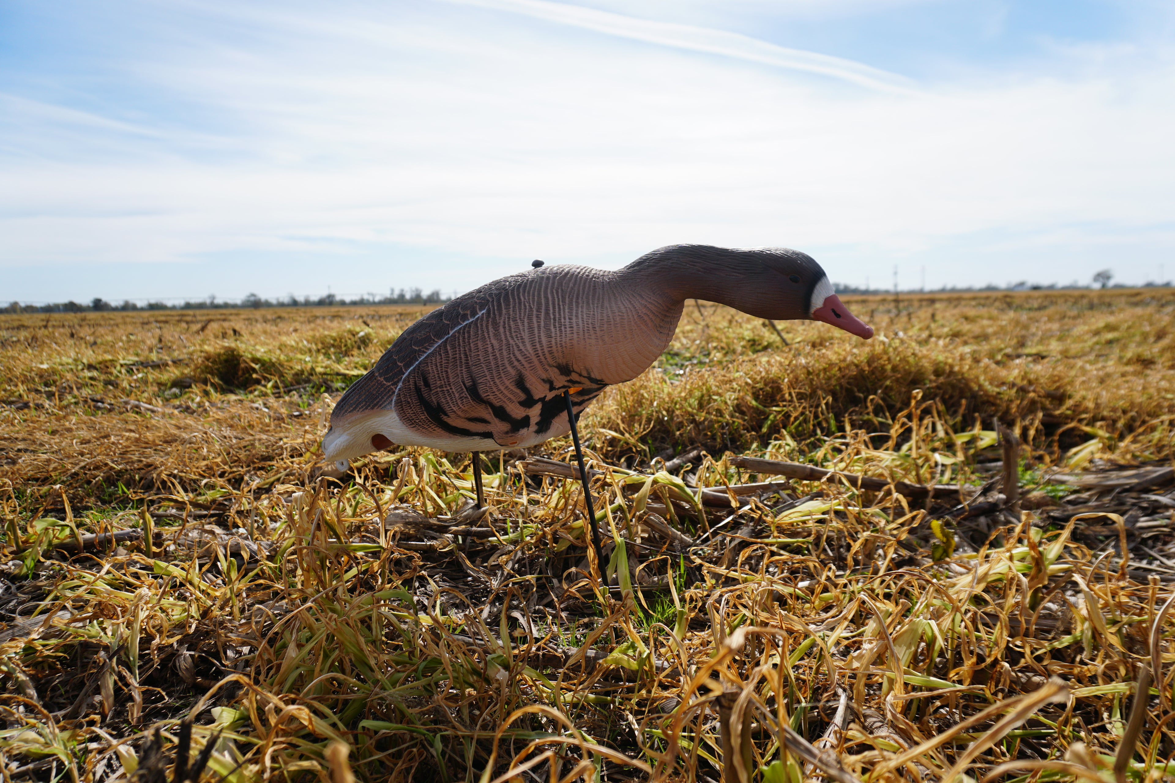 Full Body Speck Decoys