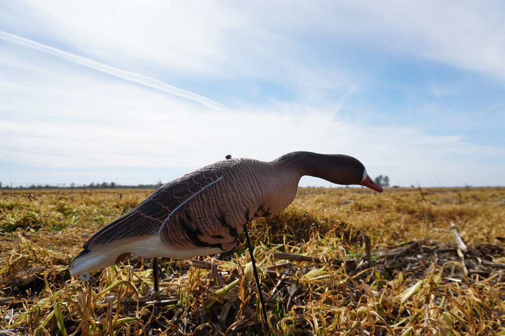 Full Body Speck Decoys