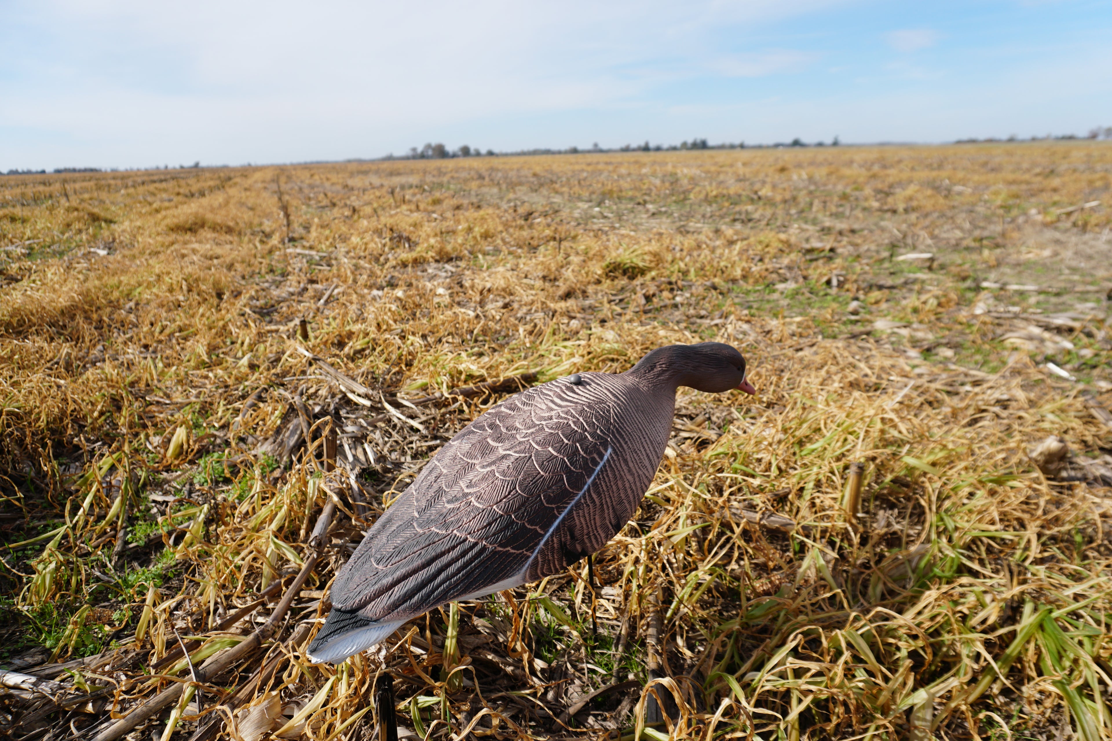 Full Body Speck Decoys