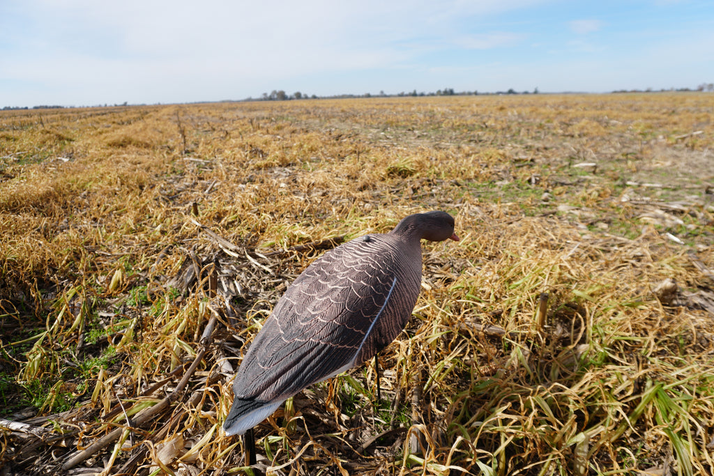 Full Body Speck Decoys