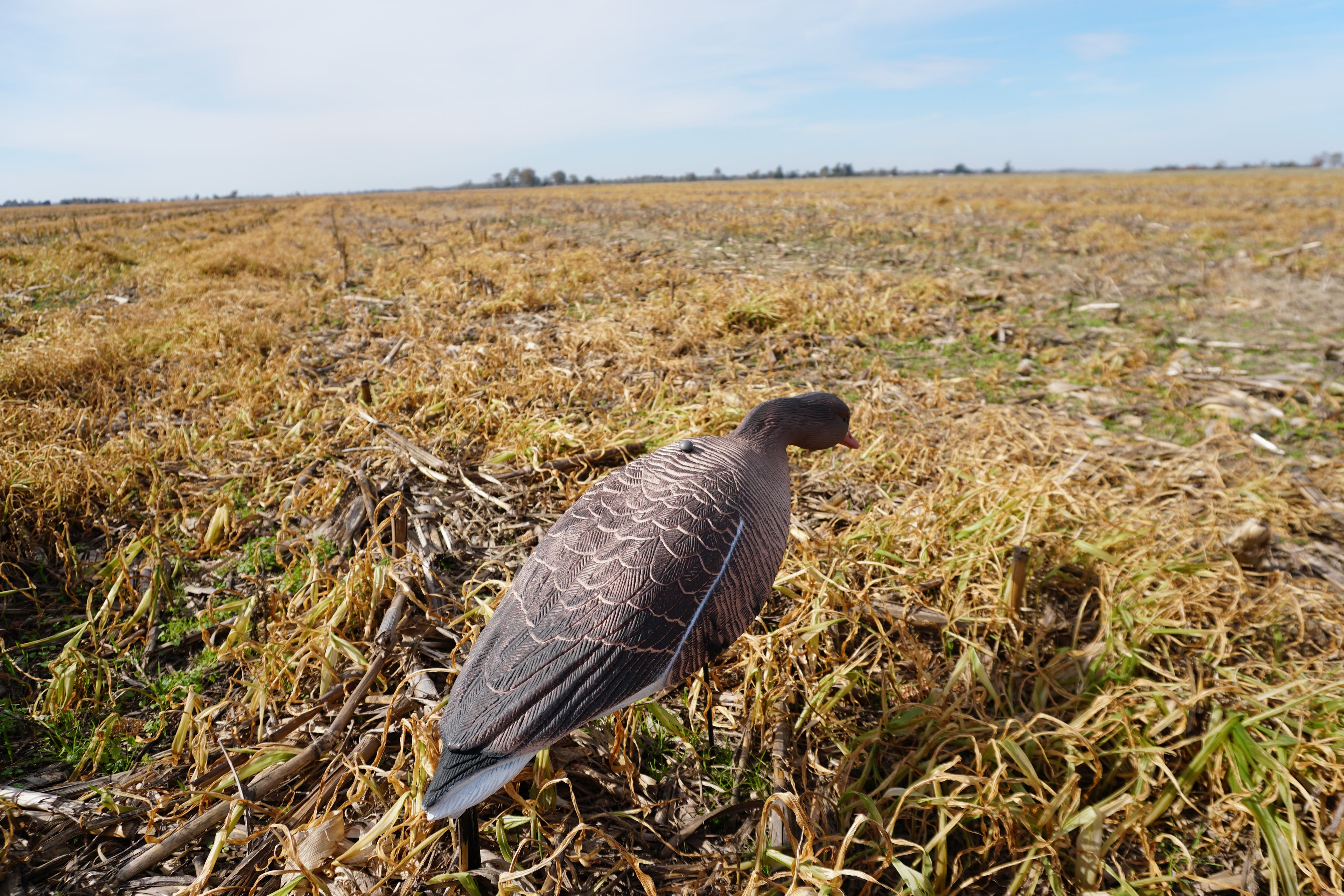 Full Body Speck Decoys