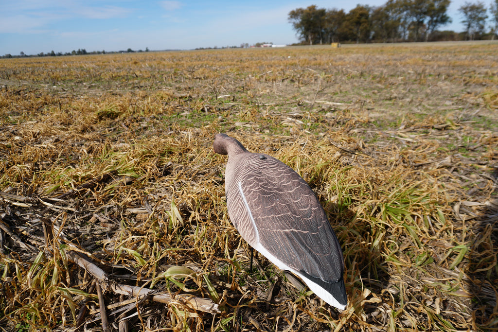 Full Body Speck Decoys