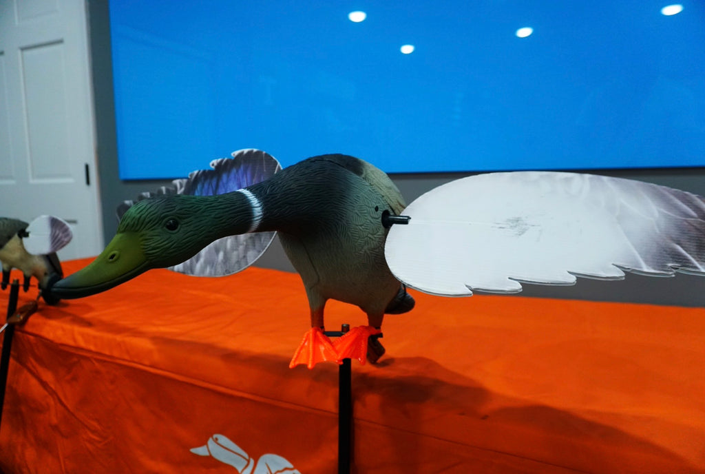 Mallard Drake Robo