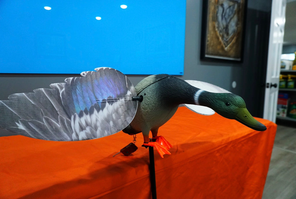 Mallard Drake Robo