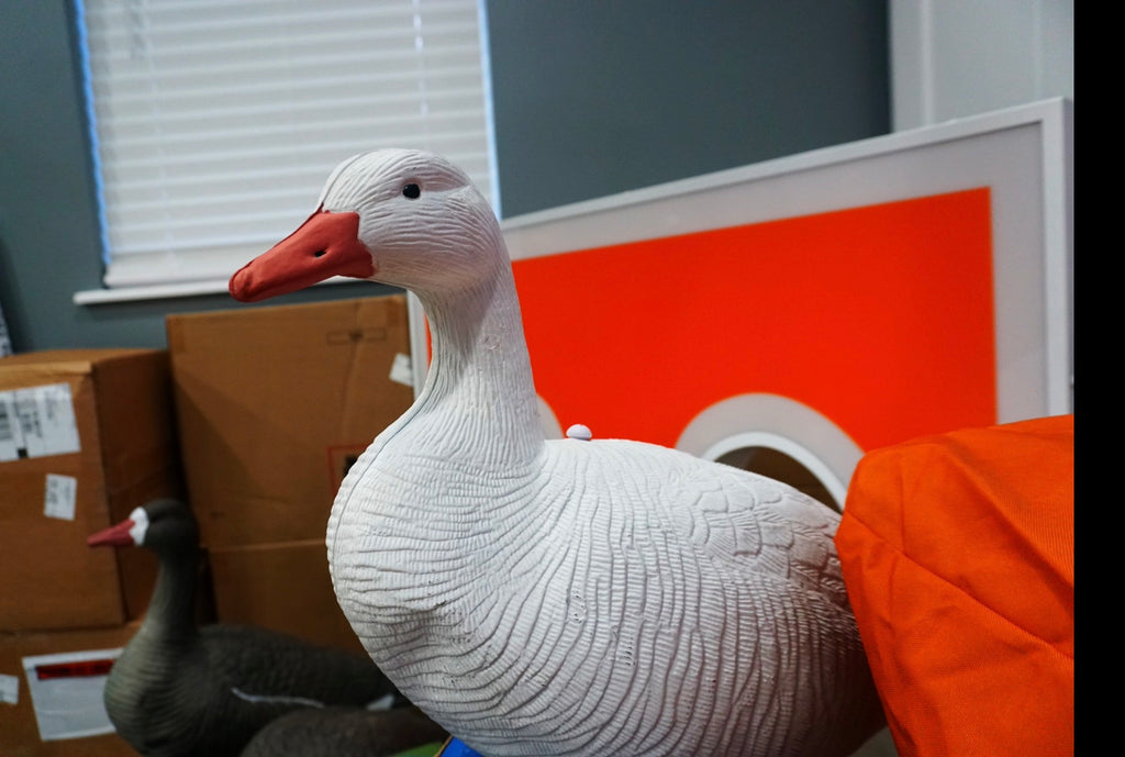 Field -Snow Goose Rester / Feeder