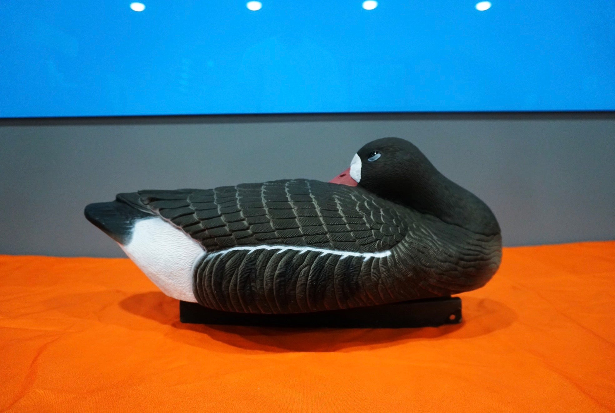 Floating - Speck Sleeping