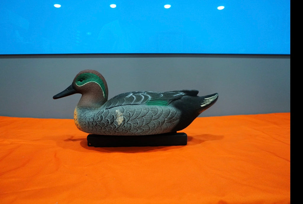 Greenwing Teal
