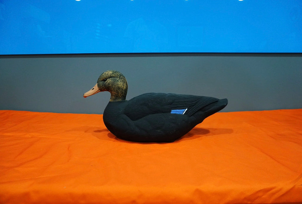 Field -Black Mallard Feeders