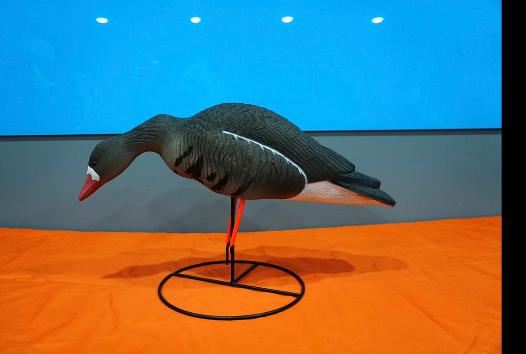 Field -Speck Rester / Feeder